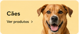 Cães