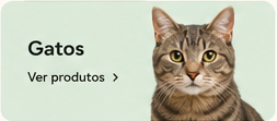Gatos