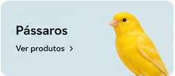 Pássaros