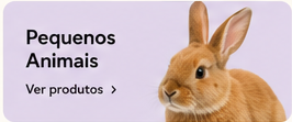 Pequenos Animais